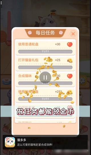 猫多多  v1.0图2