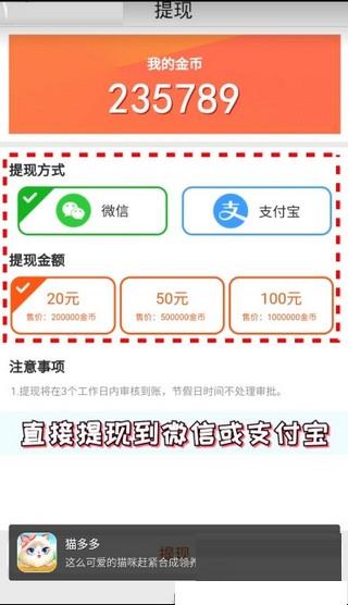 猫多多  v1.0图1
