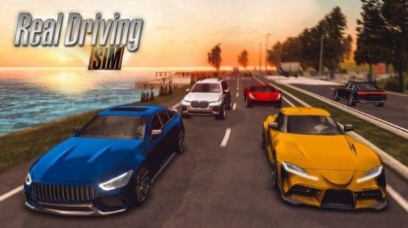 realdrivingsim汽车版  v2.3图2