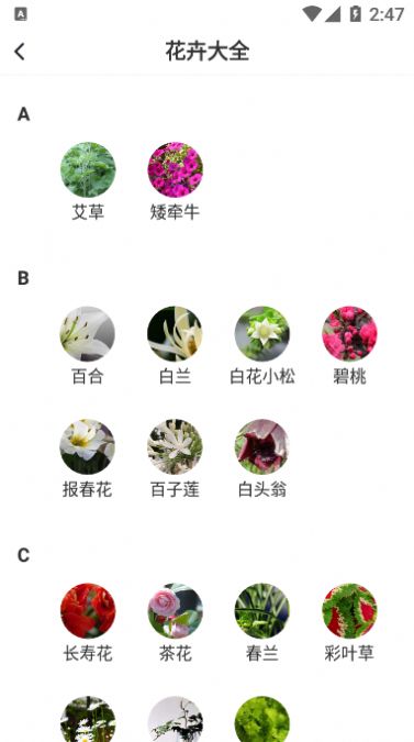 即有花  v1.0.0图3