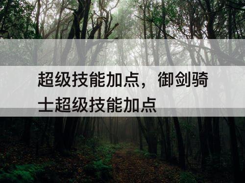 超级技能加点，御剑骑士超级技能加点