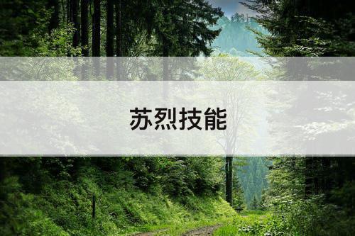 苏烈技能