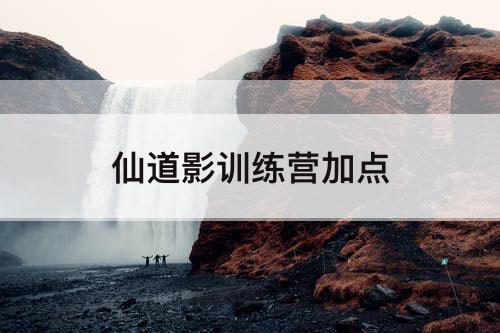 仙道影训练营加点