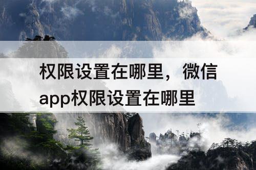 权限设置在哪里，微信app权限设置在哪里