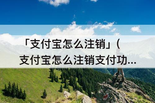 「支付宝怎么注销」(支付宝怎么注销支付功能)