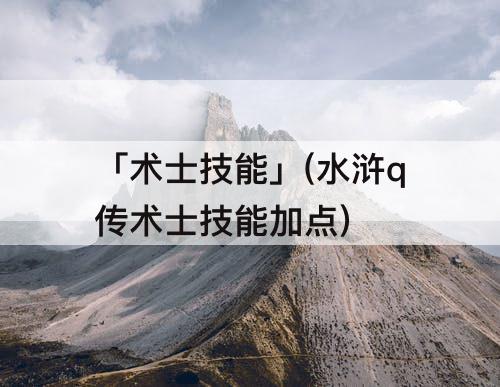 「术士技能」(水浒q传术士技能加点)
