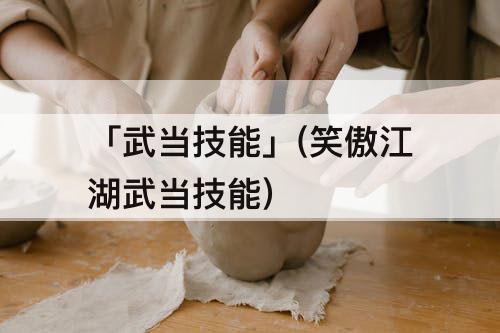 「武当技能」(笑傲江湖武当技能)