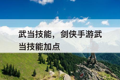 武当技能，剑侠手游武当技能加点