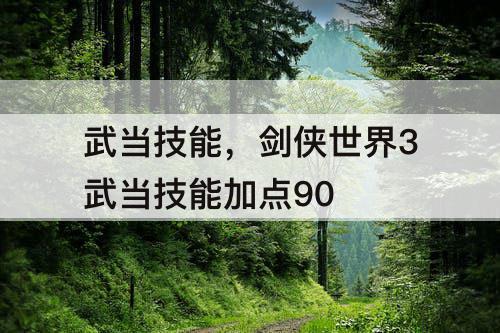 武当技能，剑侠世界3武当技能加点90