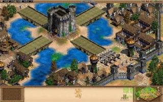 帝国时代2单机版手游  v1.12.7图2