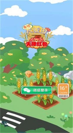 丰收大麦田天降红包  v1.0图2