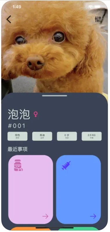 爱宠小派安卓版  v1.1图2