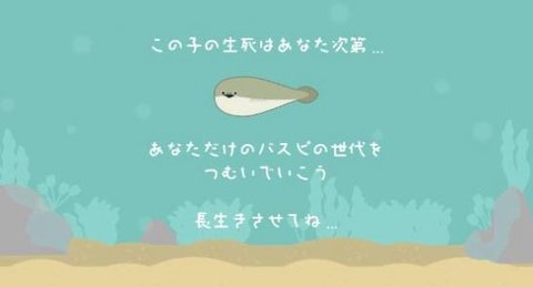 虚无鱼BasPi1.21