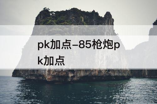 pk加点-85枪炮pk加点