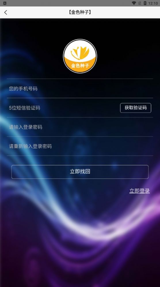 金色稻谷2024
