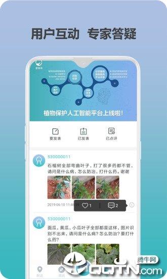 很准识蛾  v1.0.0图3