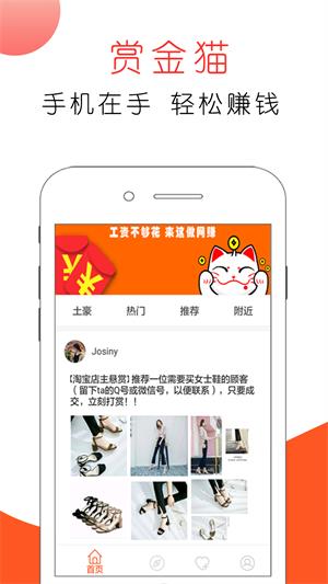 赏金猫  v3.0图1