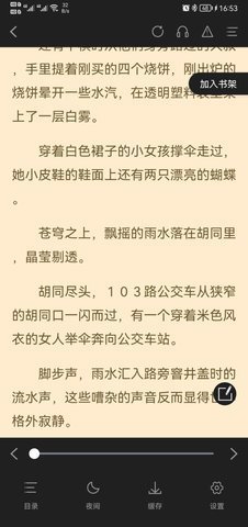 闪文小说苹果版下载