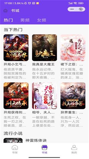 雾夜小说我还年轻免费阅读  v1.0图3