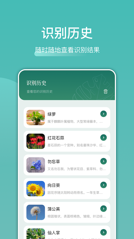 识花识物  v1.1图2