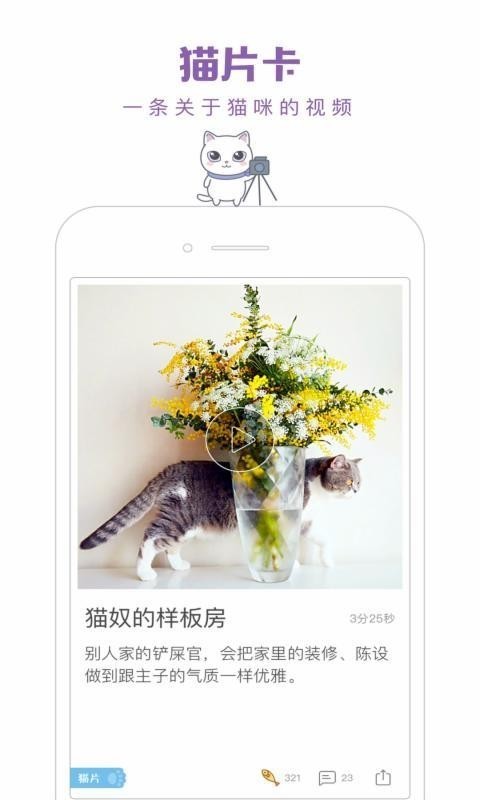 一日猫app  v2.4.7图1