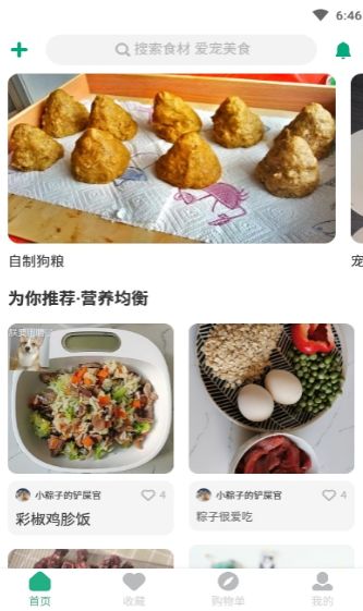 宠物食谱制作教学安卓版  v1.0.0图3