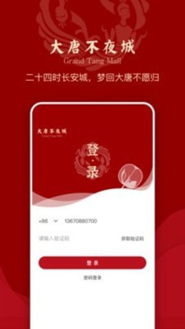 大唐不夜城文化商业步行街  v2.0.6图1