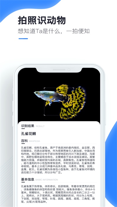 百科扫描王官方版免费下载  v1.0.0图1