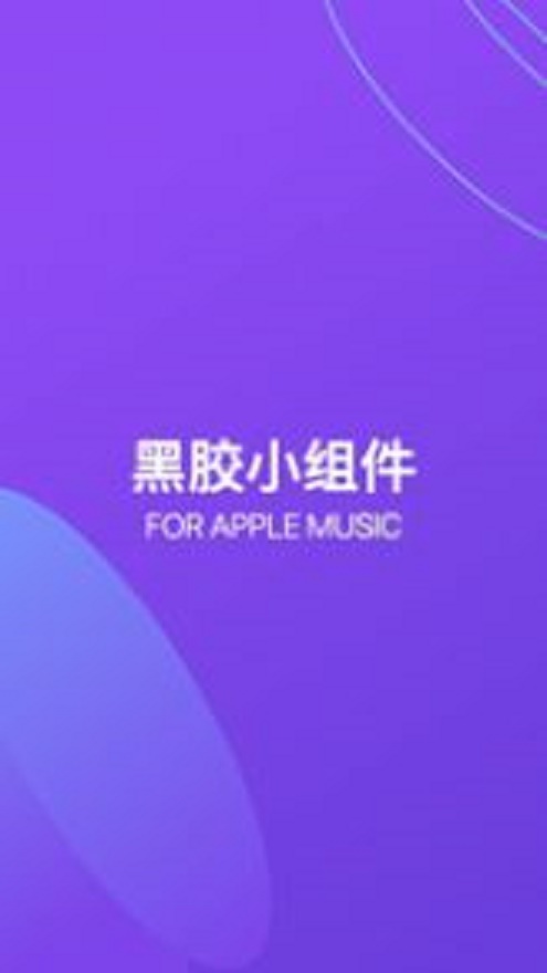 谜底黑胶网易云  v1.0.0图1