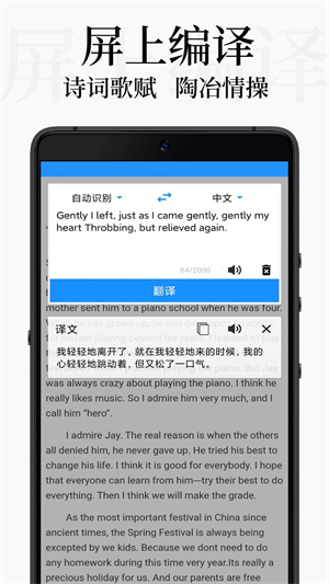 DB翻译  v1.8.3图3