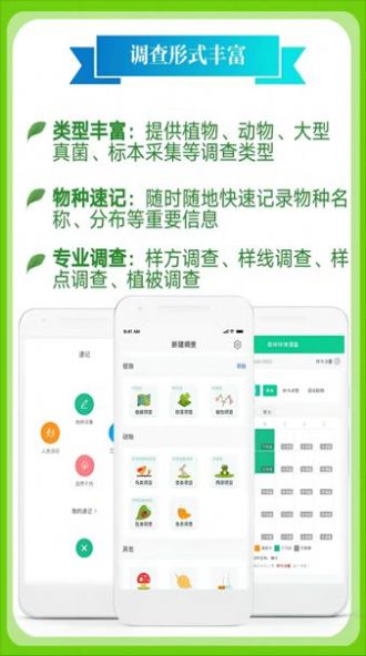 北极花生物调查  v1.2.5图2