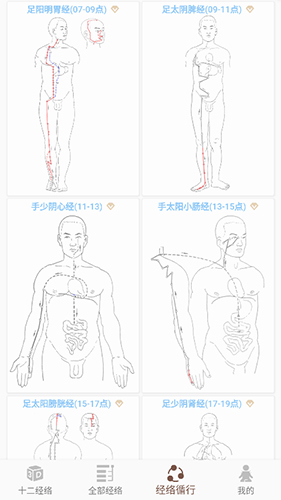 经络穴位3D