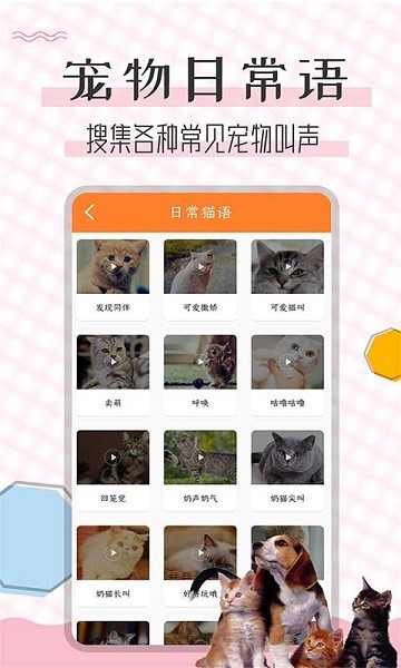 猫语翻译宝  v1.2.3图3