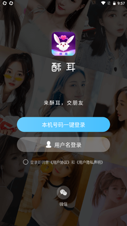 酥耳交友安卓版  v1.0图1