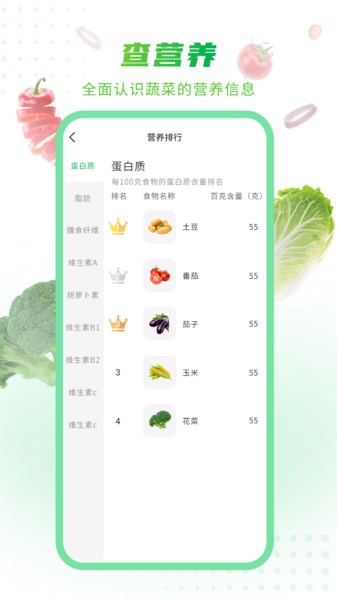 有机蔬菜  v1.0.3图2