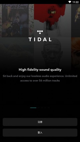 tidalwave下载