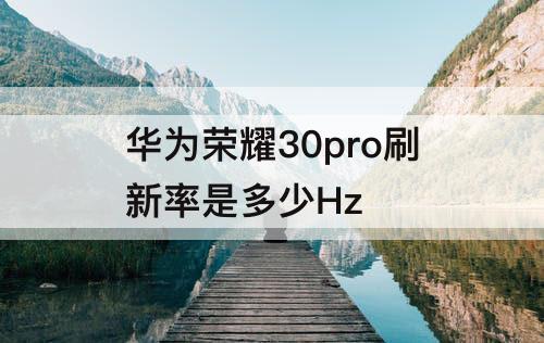 华为荣耀30pro刷新率是多少Hz